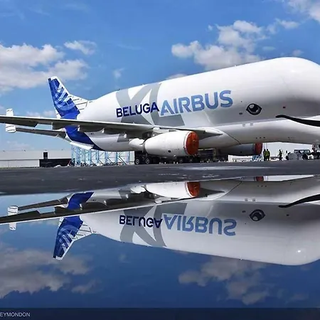 Grand Studio*victor Hugo*centre Appartement